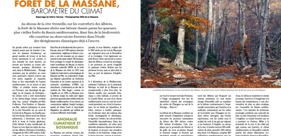 Écologie : Forêt de la Massane, baromètre du climat