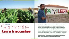 Espagne – Somonte, terre insoumise