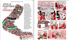 Andalousie : Sous le plastique, les fraises