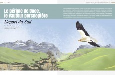 Le périple de Doce, le vautour percnoptère, L’appel du Sud